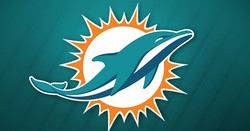 Dolphins new