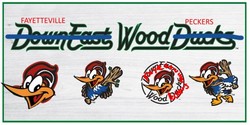 Down east wood ducks