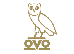 Drake owl
