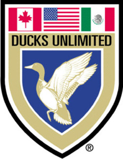Ducks unlimited louisiana