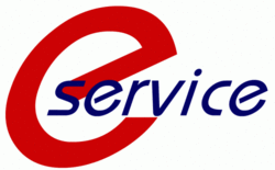 E services