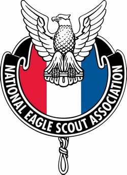 Eagle boy scout
