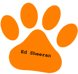Ed sheeran