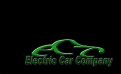 Electric car company