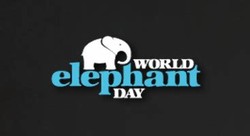 Elephant world