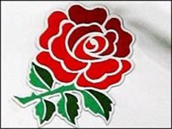 English rose rugby