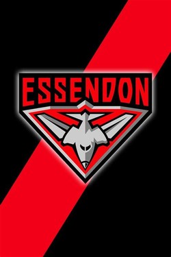 Essendon bombers