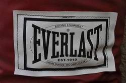 Everlast boxing