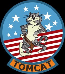F14 tomcat