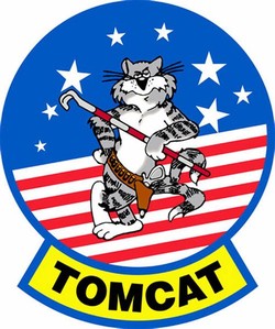 F14 tomcat