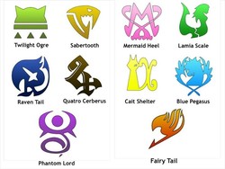 Fairy tail guild
