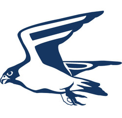 Falcon mascot