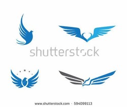 Falcon wings