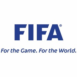 Fifa official