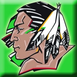 Fighting sioux