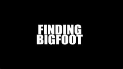 Finding bigfoot
