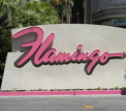 Flamingo las vegas