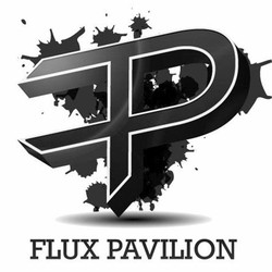 Flux pavilion