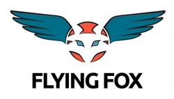 Flying fox