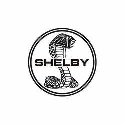 Ford shelby