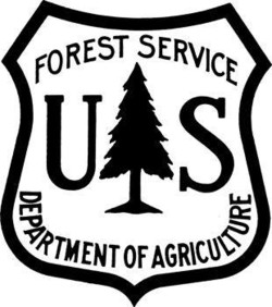 Forest service