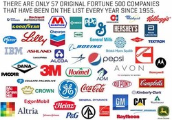 Fortune 500 company