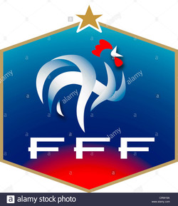 French football federation