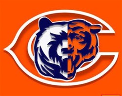 Funny chicago bears