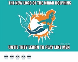 Funny miami dolphins