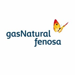 Gas natural fenosa
