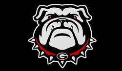 Georgia bulldogs secondary