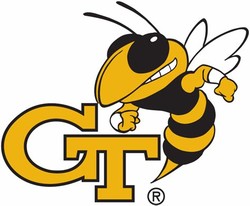 Georgia tech bee