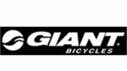 Giant bikes