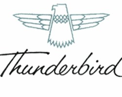 Gibson thunderbird