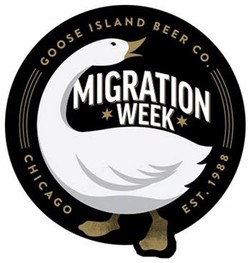 Goose island beer