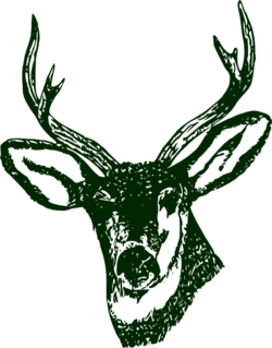 Green deer