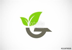 Green letter g