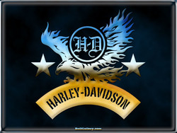 Harley davidson eagle