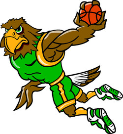 Hawk mascot