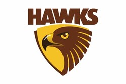 Hawks football