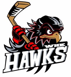 Hawks hockey
