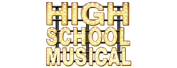 High school musical wildcats