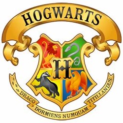 Hogwarts school