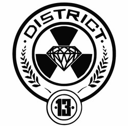 Hunger games district