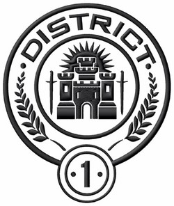 Hunger games district