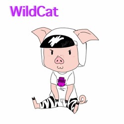 I am wildcat