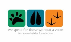Ian somerhalder foundation