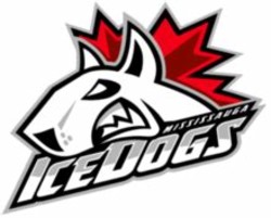 Ice dogs