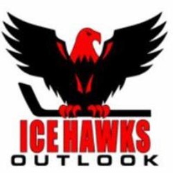 Ice hawks
