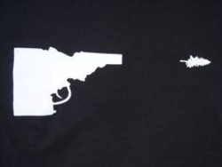 Idaho gun